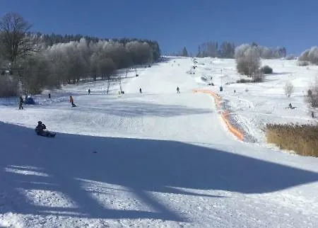 Sport *